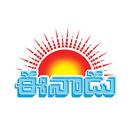 Eenadu - news app APK