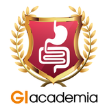 GIacademia V1.0