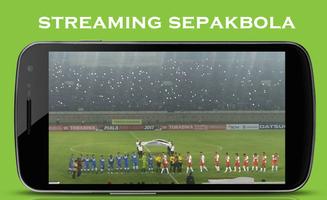 TV Online Indonesia:  Live Streaming TV Lokal imagem de tela 2