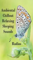 Ambient Relaxing and Sleeping poster