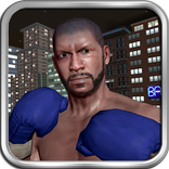 Street Boxing Revolution