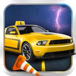 Driving School Parking Test