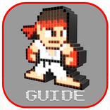Guide for STREET FIGHTER