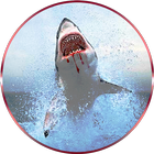 Angry Shark Simulator 2016 icône