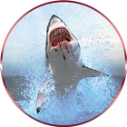 Angry Shark Simulator 2016 আইকন