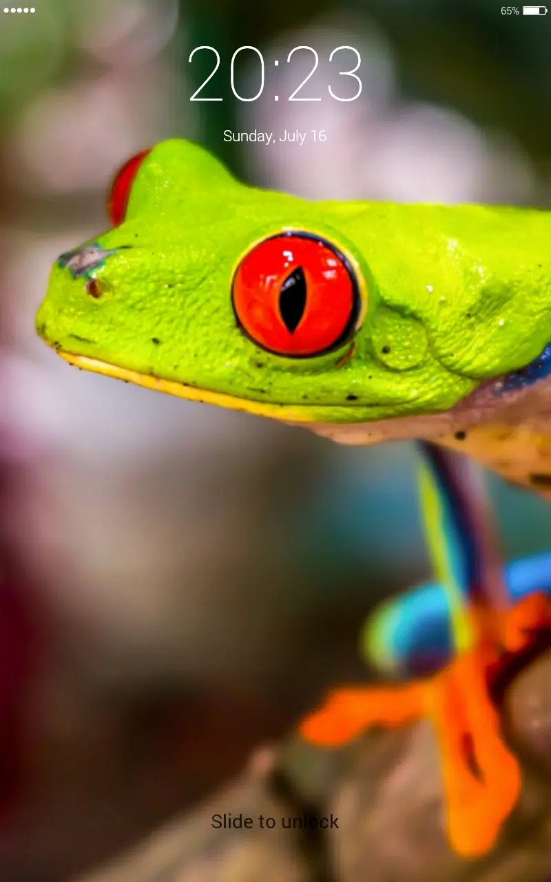 Frog jumping 4K lock screen wallpaper APK for Android Download Frog jumping 4K lock screen wallpaper APK for Android Download