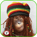 Funny monkeys lock screen 4K wallpaper APK