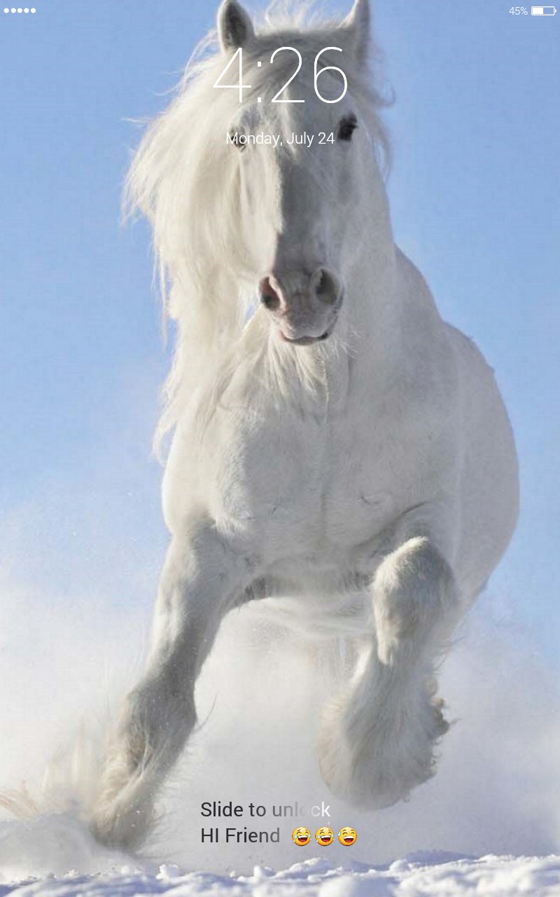 Download do APK de Wild horses lock screen 4K wallpaper para Android