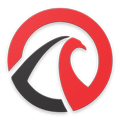 Halcón