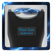 Stun Gun (Prank)