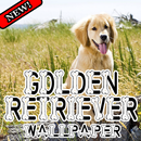 Golden Retriever Wallpapers HD APK