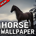 Horsepaper - Horse Wallpapers HD