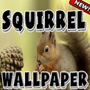 SquirrelPaper - Squirrel Wallpapers HD APK