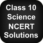 Class 10 Science NCERT Solutions icono