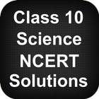 Class 10 Science NCERT Solutions icône