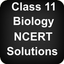 Class 11 Biology NCERT Solutions APK