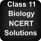Class 11 Biology NCERT Solutions-icoon