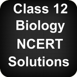 Class 12 Biology NCERT Solutions icône