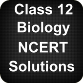 Class 12 Biology NCERT Solutions ไอคอน