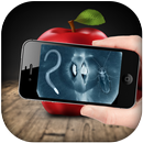 X Ray Food and Fruit Scanner APK