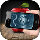 X Ray Food and Fruit Scanner icône