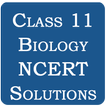 Class 11 Biology NCERT Solutio
