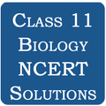 Class 11 Biology NCERT Solutio