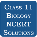 Class 11 Biology NCERT Solutio APK