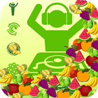 2017 Fruits Match icône