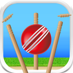 Cricket - Defend the Wicket