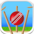 Cricket - Defend the Wicket