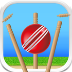 Icona Cricket - Defend the Wicket