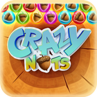 Crazy Nuts Bubble icon