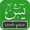 Surah Yasin APK