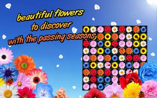 Pretty Flower 海報