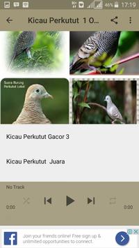 Kicau Burung Perkutut Gacor Apk App Free Download For Android