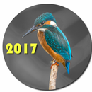 Color Split Effects - Photo Editor APK