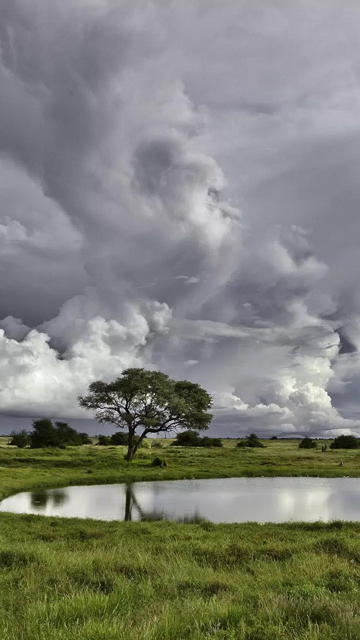 Monsoon Wallpapers HD APK for Android Download Monsoon Wallpapers HD APK for Android Download