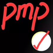 Flashcards for PMP