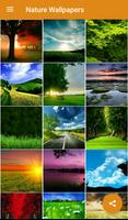 Nature Wallpapers HD screenshot 1