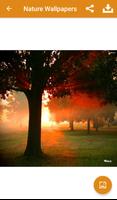 Nature Wallpapers HD screenshot 2