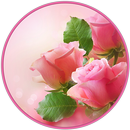 Pink Roses Wallpapers HD APK