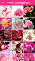 Pink Roses Wallpapers HD スクリーンショット 1