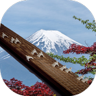 Koto 13-stringed icon