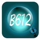 Youcam B612  selfie APK