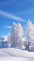 Snowfall Wallpapers HD ポスター