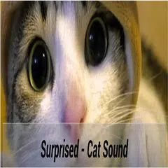 Talk Cat Translator APK download
