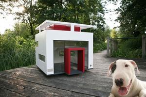 Dog House Design plakat