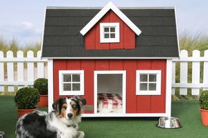 1 Schermata Dog House Design