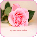 Love Hd Wallpapers 2018 APK